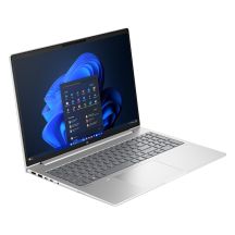 HP ProBook 4 G1a Ryzen 7 250 16"WUXGA IPS 300nits AG 16GB DDR5 5600 SSD512 Radeon 780M Cam 1080p 56Wh W11Pro Pike silver 3Y OnSite