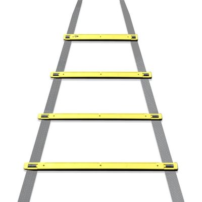 16. DUNLOP ADJUSTABLE 4M ACTIVITY LADDER