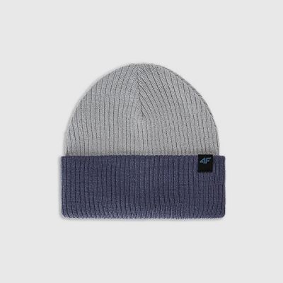 Boy's winter hat 4F 4FJWAW25ACAPM600-32S