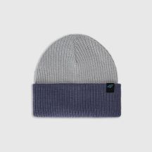 Boy's winter hat 4F 4FJWAW25ACAPM600-32S