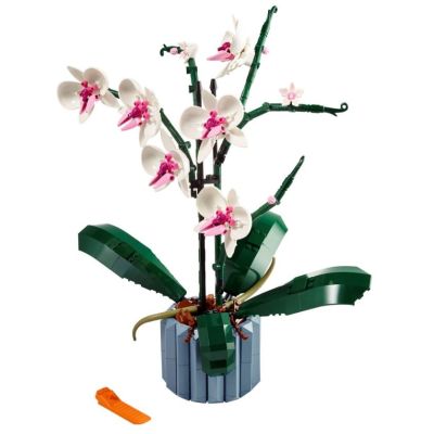 3. LEGO Icons 10311 - Orchid