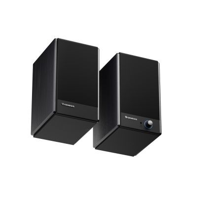 6. GENESIS ARSEN 502BT 2-Way Black Wired and Wireless 60W