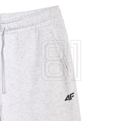 5. Men's trousers 4F CAS M1140 cool light gray melange 4FWMM00TTROM1140 27M