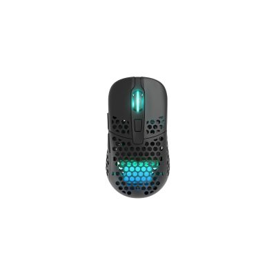 23. CHERRY XTRFY M42 RGB Gaming Mouse Ambidextrous RF Wireless + USB Type-C Optical 19000 DPI