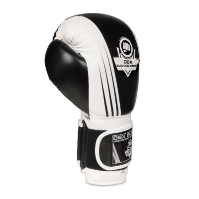 9. 10oz Boxing Gloves - Edge - Valor Series
