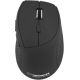 Esperanza Andromeda EM123K mouse (optical; 2400 DPI; black)