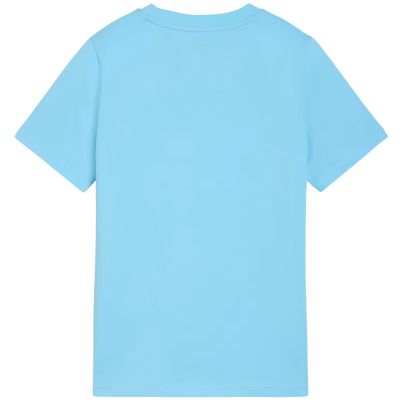 3. Puma ESS Small No. 1 Logo Centered Tee for Kids Blue 692975 45