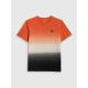 5. Men's relaxed T-shirt with print 4F 4FRSS26TTSHM3815-70A