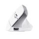 4. TRUST Bayo+ Multidevice Wireless Ergonomic Mouse