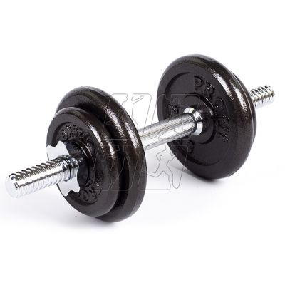 2. Profit 10kg DK 4126 cast iron dumbbell