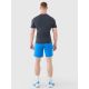 4. Men's quick-drying training shorts 4F 4FWSS25TFSHM0911-33S