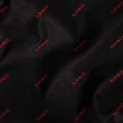 11. Alpinus Chimney Agi Alp Pat 1