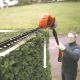 2. Black & Decker GTC1843L20-QW Electric Hedge Trimmer Twin Blade 3.2 kg