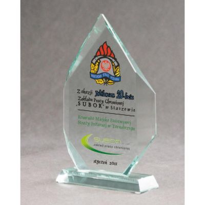 3. Glass trophy with LuxorJet color print and case