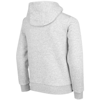 2. Sweatshirt 4F Jr HJZ22 JBLD001 25M