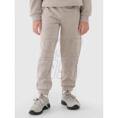 5. Tracksuit 4F Jr 4FJRAW24TAPSU040-83S