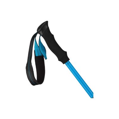 3. MILLET Ubic Carbon Pair Blue Sticks