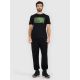 3. Men's regular printed T-shirt 4F 4FRAW25TTSHM3612-20S