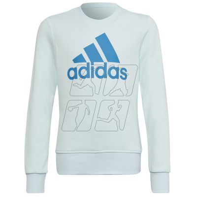 Sweatshirt adidas Big Logo Swt Jr HM8707