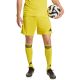 Men's adidas Tiro 26 League yellow shorts KA8777