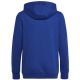 2. Sweatshirt adidas Big Logo Essentials Hoody Jr HN1912