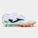 14. STRIKER 2502 WHITE FIRM GROUND
