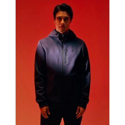 6. Men's regular hooded sweatshirt 4F 4FRAW26TSWSM3160-31S