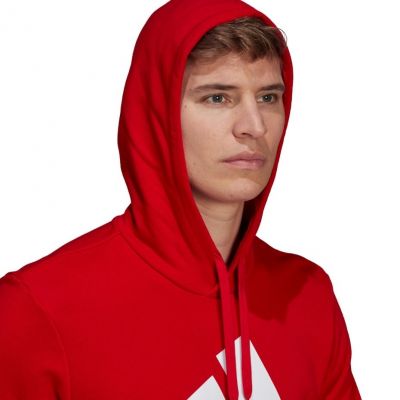 5. adidas Essentials Big Logo M GV0249 sweatshirt