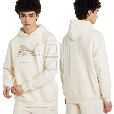 2. Puma FD Ess Btr M sweatshirt 673293 99