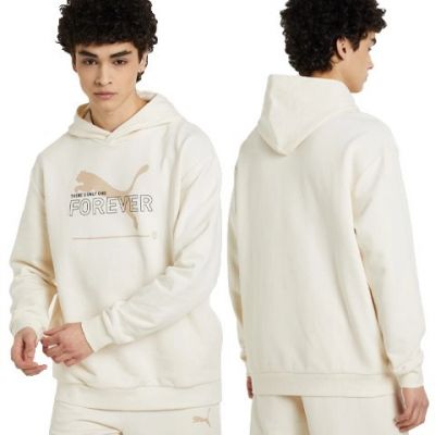 2. Puma FD Ess Btr M sweatshirt 673293 99