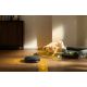 7. Roborock Saros 20 Complete Black Robot Vacuum Cleaner