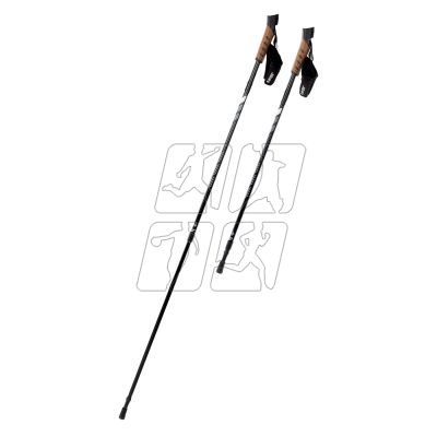 2. Nordic walking poles Hi-Tec Alpenstock 92800331268