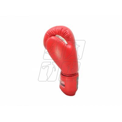 6. Boxing gloves Masters Collection Rpu-Mjc Jr 01255-02-8