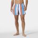9. Helly Hansen Newport Trunk M 34296 304 Swim Shorts