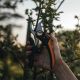 2. Fiskars Plus PowerLever P721 Pruning Shears