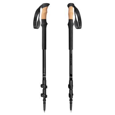 6. Spokey Zodiac trekking poles 105-135 cm three-segment SPK-944817