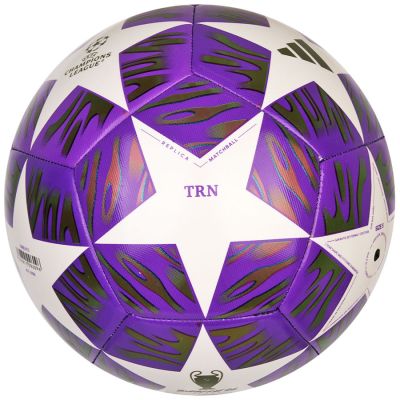 7. adidas UCL Training Ball JX9089