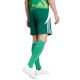 13. adidas Tiro 24 M IS1410 shorts