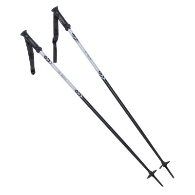 2. ALPINE SKI II poles
