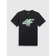 5. Men's regular printed T-shirt 4F 4FRSS26TTSHM4305-20S