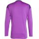 2. adidas Tiro 25 Competition M JI9726 goalkeeper jersey