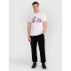 4. Men's regular t-shirt with volleyball print 4F 4FRAW25TTSHM3319-10S