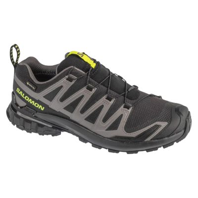 Salomon XA Pro 3D v9 GTX L47987300 Black 41 1/3