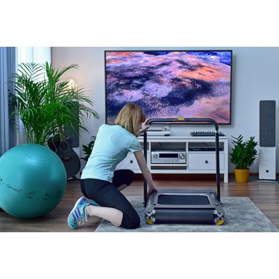 19. Kingsmith WalkingPad TRR1F R1 Sports Treadmill