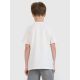5. Boy's regular printed T-shirt 4F 4FJRSS25TTSHM2643-11S