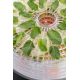 9. ETA Secca Plus Fruit Dryer - 830190000