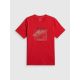 7. Men's regular printed T-shirt 4F 4FRSS26TTSHM4039-62S