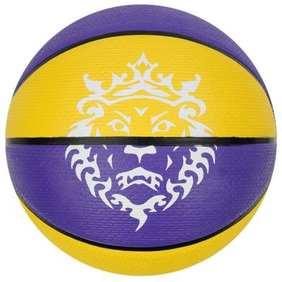 3. Nike Lebron James Playground 8P 2.0 Ball N1004372-575