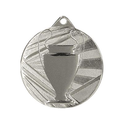 6. Overall silver medal with cup