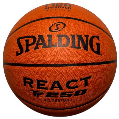 2. Spalding React TF-250 Ball 76968Z 